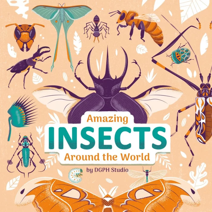 Amazing Insects Around the World