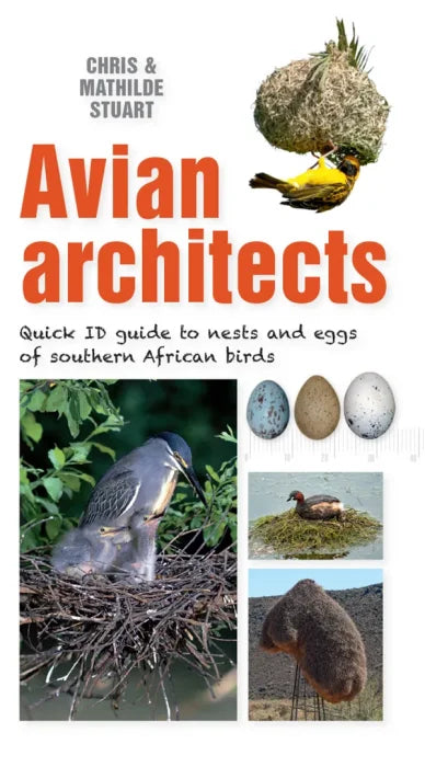 Avian Architects: Quick ID Guide to Nests and Eggs of Southern