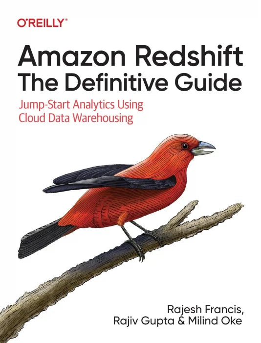 Amazon Redshift: The Definitive Guide: Jump-Start Analytics