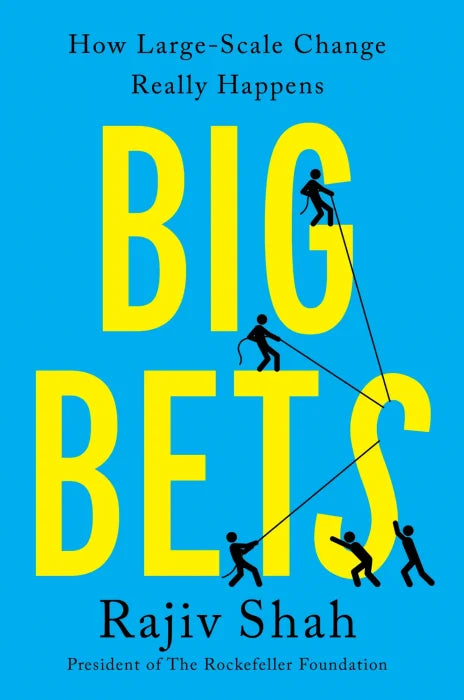 Big Bets: How Large-Scale Change Really Happens