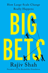 Big Bets: How Large-Scale Change Really Happens