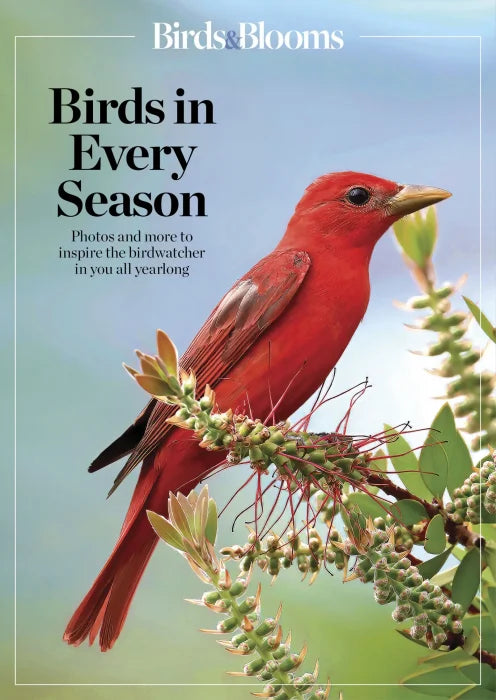 Birds & Blooms Birds in Every Season: Cherish the Feathered