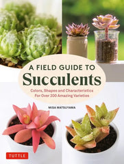 A Field Guide to Succulents: Colors, Shapes and Characteristics