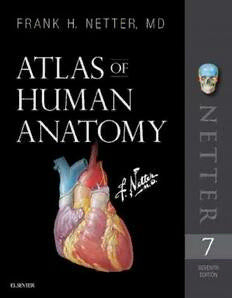 Atlas of Human Anatomy by Frank H. Netter seventh edition