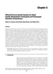 2017 [Methods in Molecular Biology] Reverse Genetics of RNA Viruses Volume 1602 __ Efficient Reverse Genetic Systems for