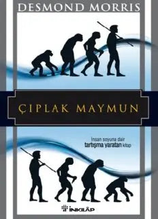 Ç?plak Maymun - Desmond Morris