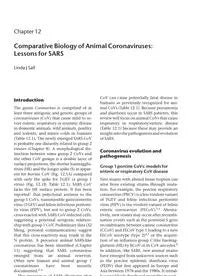 2005 Severe Acute Respiratory Syndrome (Peiris_Severe) __ Comparative Biology of Animal Coronaviruses_ Lessons for SARS